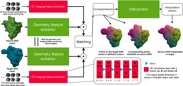 Figure 1 for Unsupervised correspondence with combined geometric learning and imaging for radiotherapy applications