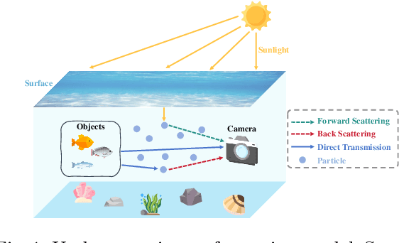 Figure 1 for SFormer: SNR-guided Transformer for Underwater Image Enhancement from the Frequency Domain
