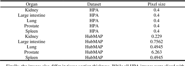 Figure 2 for Semi-Supervised Segmentation of Functional Tissue Units at the Cellular Level