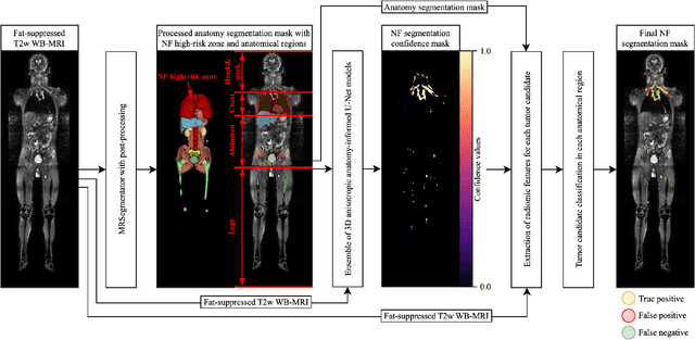 Figure 2 for Anatomy-Informed Deep Learning and Radiomics for Automated Neurofibroma Segmentation in Whole-Body MRI