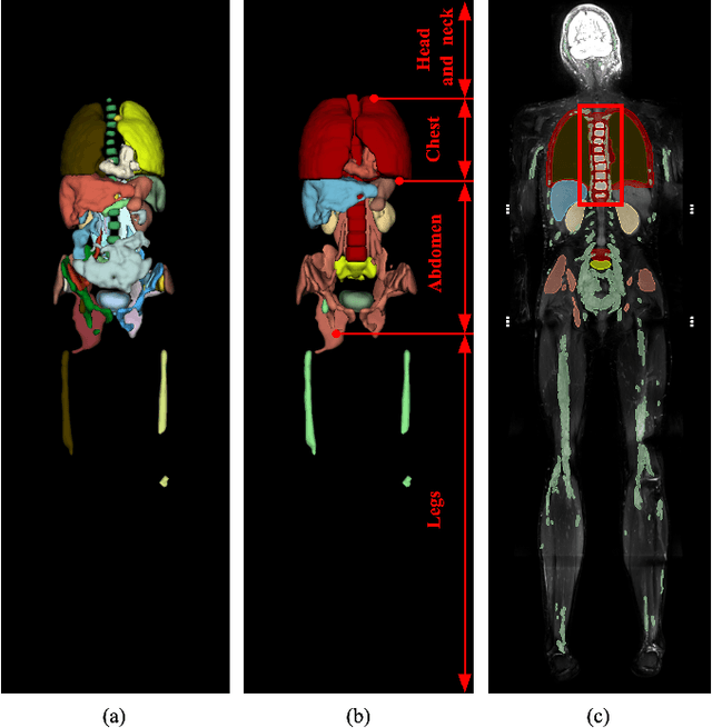 Figure 3 for Anatomy-Informed Deep Learning and Radiomics for Automated Neurofibroma Segmentation in Whole-Body MRI