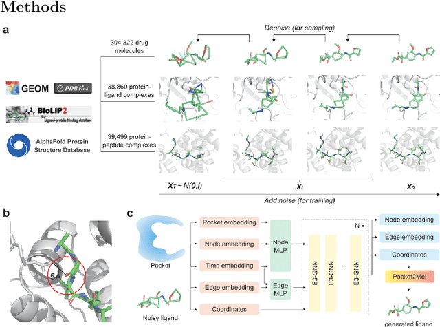 Figure 1 for Peptide2Mol: A Diffusion Model for Generating Small Molecules as Peptide Mimics for Targeted Protein Binding