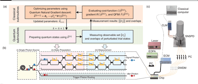 Figure 1 for Experimental quantum natural gradient optimization in photonics
