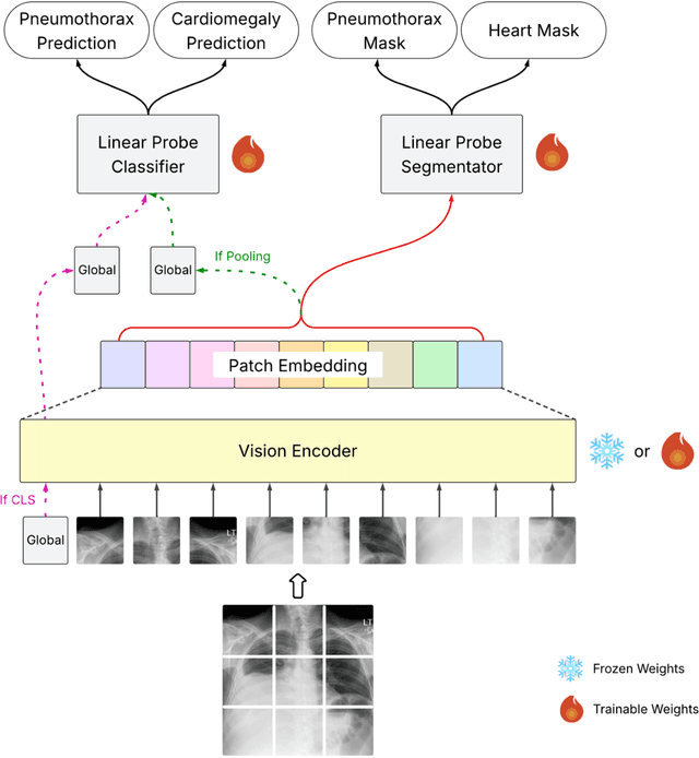 Figure 2 for Feature Quality and Adaptability of Medical Foundation Models: A Comparative Evaluation for Radiographic Classification and Segmentation