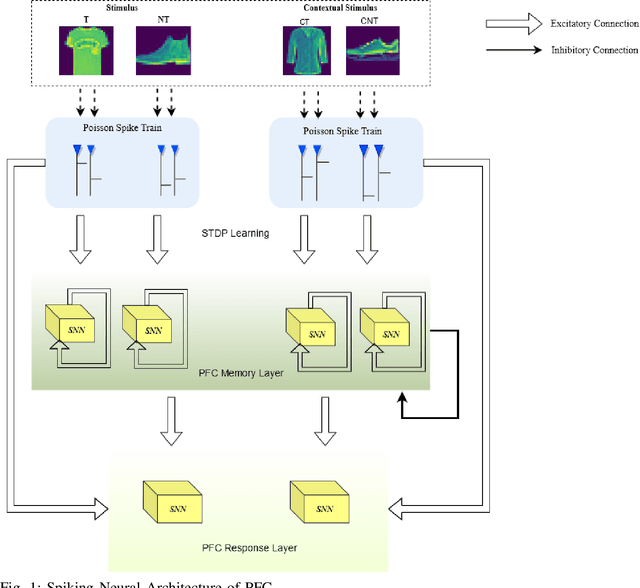Figure 1 for Unsupervised Spiking Neural Network Model of Prefrontal Cortex to study Task Switching with Synaptic deficiency