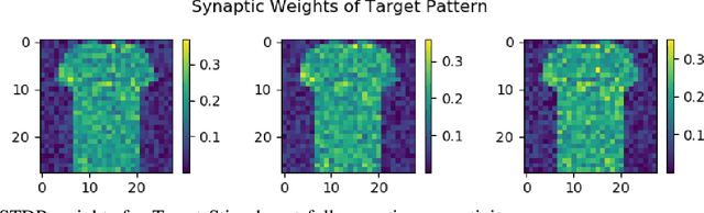 Figure 4 for Unsupervised Spiking Neural Network Model of Prefrontal Cortex to study Task Switching with Synaptic deficiency