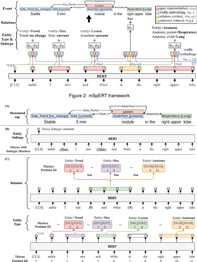 Figure 4 for A Novel Corpus of Annotated Medical Imaging Reports and Information Extraction Results Using BERT-based Language Models