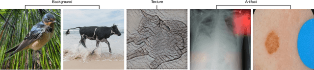 Figure 1 for An XAI-based Analysis of Shortcut Learning in Neural Networks