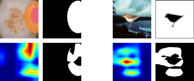 Figure 3 for An XAI-based Analysis of Shortcut Learning in Neural Networks