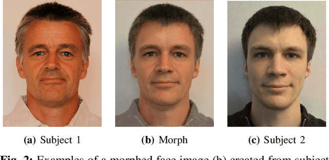 Figure 1 for TetraLoss: Improving the Robustness of Face Recognition against Morphing Attacks