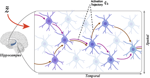 Figure 3 for Time Cell Inspired Temporal Codebook in Spiking Neural Networks for Enhanced Image Generation