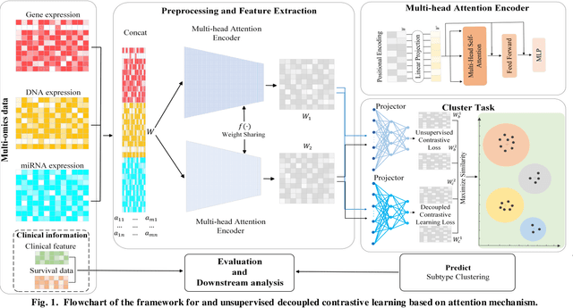 Figure 1 for Multi-Head Attention Mechanism Learning for Cancer New Subtypes and Treatment Based on Cancer Multi-Omics Data