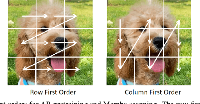Figure 3 for MAP: Unleashing Hybrid Mamba-Transformer Vision Backbone's Potential with Masked Autoregressive Pretraining