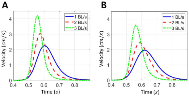 Figure 4 for From operculum and body tail movements to different coupling of physical activity and respiratory frequency in farmed gilthead sea bream and European sea bass. Insights on aquaculture biosensing