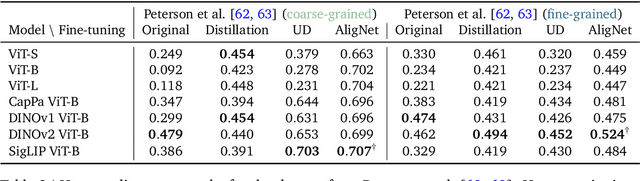 Figure 4 for Aligning Machine and Human Visual Representations across Abstraction Levels