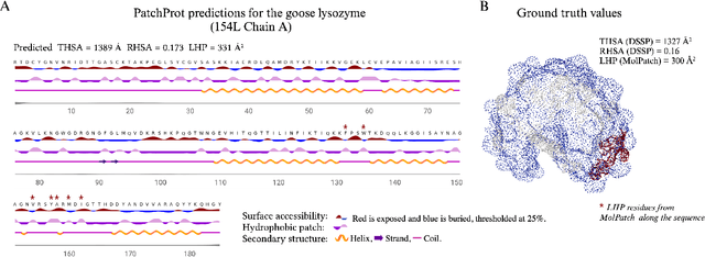 Figure 4 for PatchProt: Hydrophobic patch prediction using protein foundation models