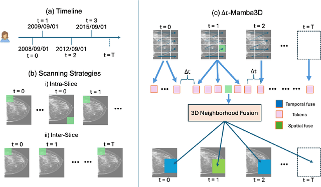 Figure 1 for $Δ$t-Mamba3D: A Time-Aware Spatio-Temporal State-Space Model for Breast Cancer Risk Prediction