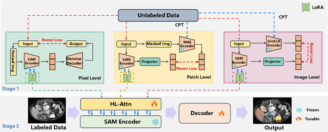 Figure 3 for SAMora: Enhancing SAM through Hierarchical Self-Supervised Pre-Training for Medical Images