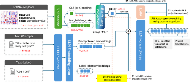 Figure 1 for BioVERSE: Representation Alignment of Biomedical Modalities to LLMs for Multi-Modal Reasoning