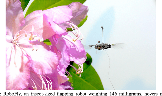 Figure 1 for Modeling and LQR Control of Insect Sized Flapping Wing Robot