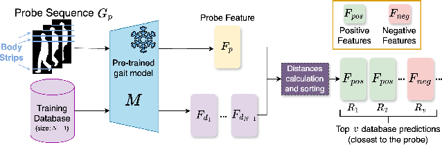 Figure 3 for CarGait: Cross-Attention based Re-ranking for Gait recognition