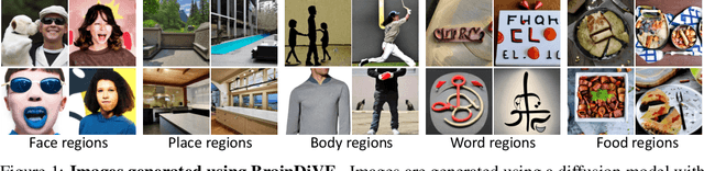 Figure 1 for Brain Diffusion for Visual Exploration: Cortical Discovery using Large Scale Generative Models