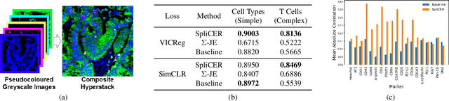 Figure 4 for Divide and Conquer Self-Supervised Learning for High-Content Imaging