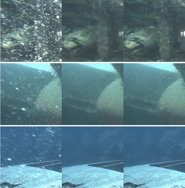 Figure 3 for Marine Snow Removal Using Internally Generated Pseudo Ground Truth