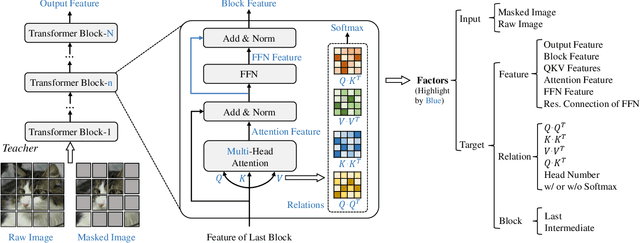 Figure 4 for TinyMIM: An Empirical Study of Distilling MIM Pre-trained Models