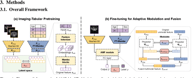 Figure 1 for AMF-MedIT: An Efficient Align-Modulation-Fusion Framework for Medical Image-Tabular Data