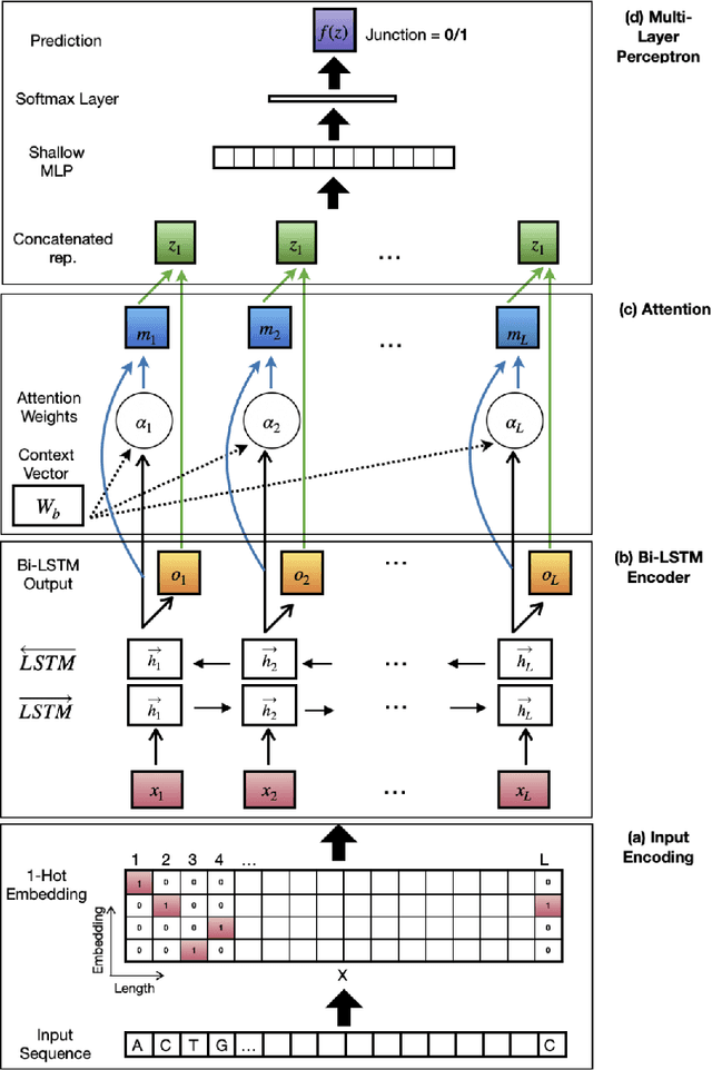 Figure 3 for Identifying DNA Sequence Motifs Using Deep Learning