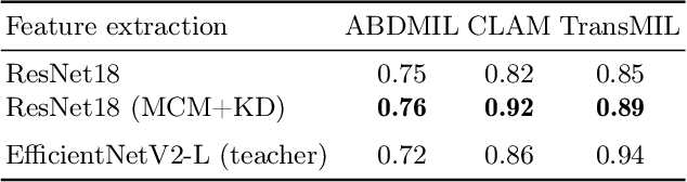 Figure 2 for Fine-tuning a Multiple Instance Learning Feature Extractor with Masked Context Modelling and Knowledge Distillation