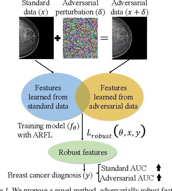 Figure 1 for Adversarially Robust Feature Learning for Breast Cancer Diagnosis