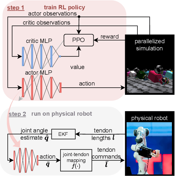 Figure 4 for Getting the Ball Rolling: Learning a Dexterous Policy for a Biomimetic Tendon-Driven Hand with Rolling Contact Joints
