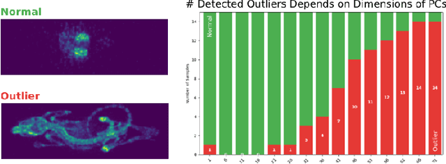 Figure 2 for Safeguarding Generative AI Applications in Preclinical Imaging through Hybrid Anomaly Detection