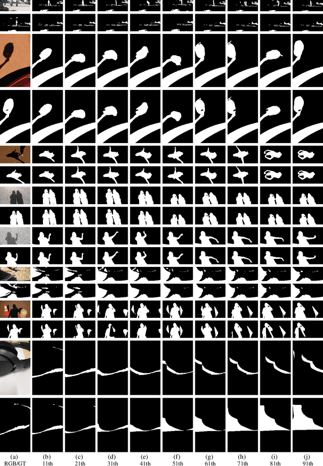 Figure 2 for When SAM2 Meets Video Shadow and Mirror Detection