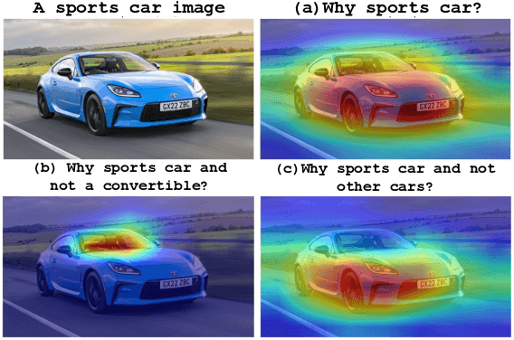 Figure 3 for Rethinking Saliency Maps: A Cognitive Human Aligned Taxonomy and Evaluation Framework for Explanations