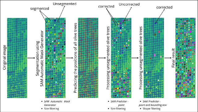 Figure 1 for Olive Tree Satellite Image Segmentation Based On SAM and Multi-Phase Refinement