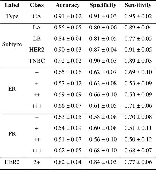 Figure 4 for Dual-path convolutional neural network using micro-FTIR imaging to predict breast cancer subtypes and biomarkers levels: estrogen receptor, progesterone receptor, HER2 and Ki67