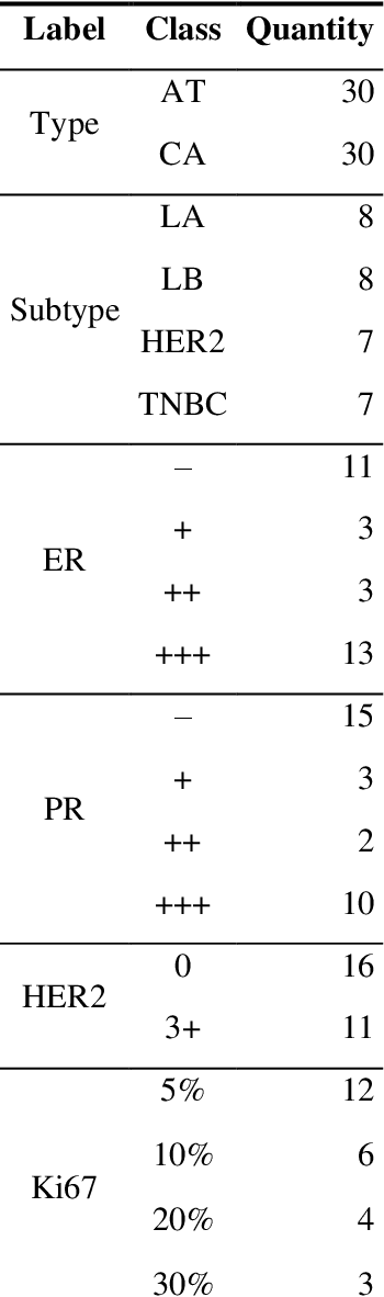 Figure 1 for Dual-path convolutional neural network using micro-FTIR imaging to predict breast cancer subtypes and biomarkers levels: estrogen receptor, progesterone receptor, HER2 and Ki67