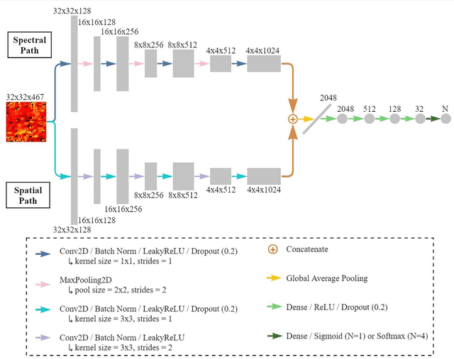 Figure 2 for Dual-path convolutional neural network using micro-FTIR imaging to predict breast cancer subtypes and biomarkers levels: estrogen receptor, progesterone receptor, HER2 and Ki67