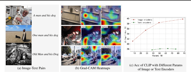 Figure 1 for LightCLIP: Learning Multi-Level Interaction for Lightweight Vision-Language Models
