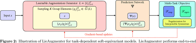 Figure 3 for Learning equivariant models by discovering symmetries with learnable augmentations