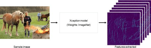 Figure 3 for Enhancing Image Caption Generation Using Reinforcement Learning with Human Feedback