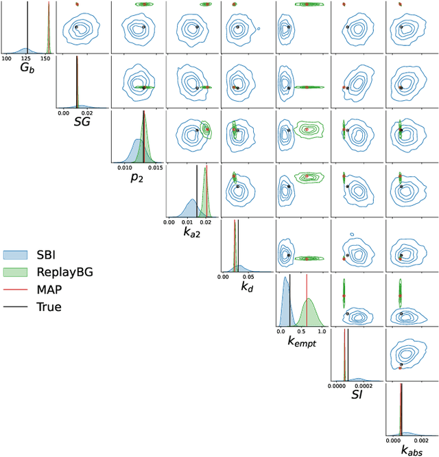 Figure 3 for A Real-Time Digital Twin for Type 1 Diabetes using Simulation-Based Inference