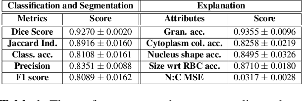 Figure 2 for Pathologist-Like Explanations Unveiled: an Explainable Deep Learning System for White Blood Cell Classification
