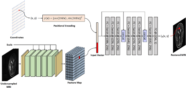 Figure 1 for Batch Implicit Neural Representation for MRI Parallel Reconstruction