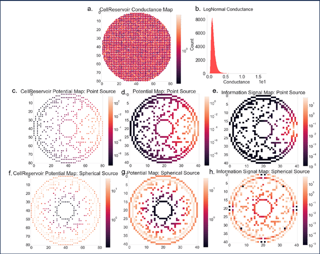 Figure 4 for Modeling non-genetic information dynamics in cells using reservoir computing