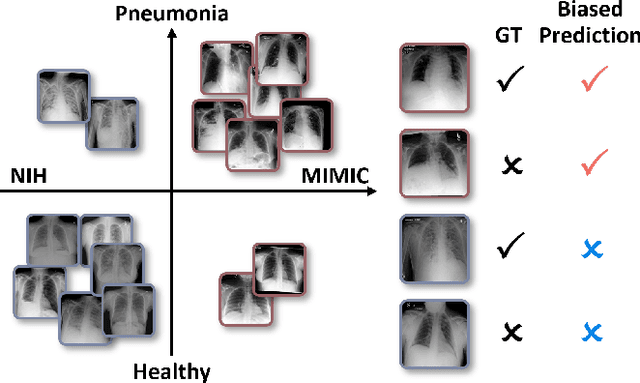 Figure 1 for Medical Image Debiasing by Learning Adaptive Agreement from a Biased Council