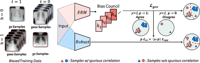 Figure 2 for Medical Image Debiasing by Learning Adaptive Agreement from a Biased Council